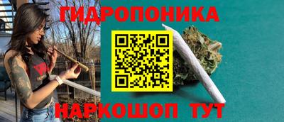 гашик Кинель