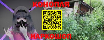 гашик Кинель