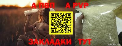 прущие грибы Сочи