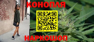 гашик Кинель