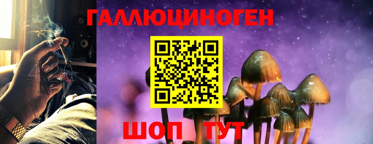 Галлюциногенные грибы Magic Shrooms  Вход с VPN  Псилоцибиновые грибы мухоморы  Коммунар 